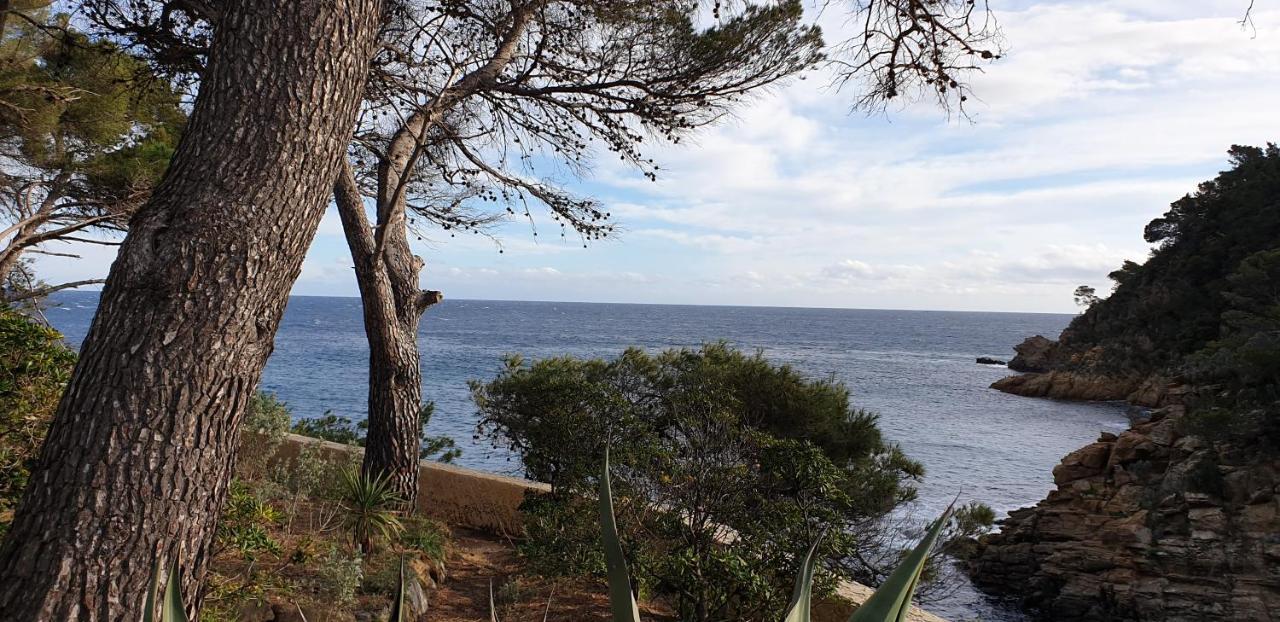 Maison Provencale Cavalaire-sur-Mer Kültér fotó